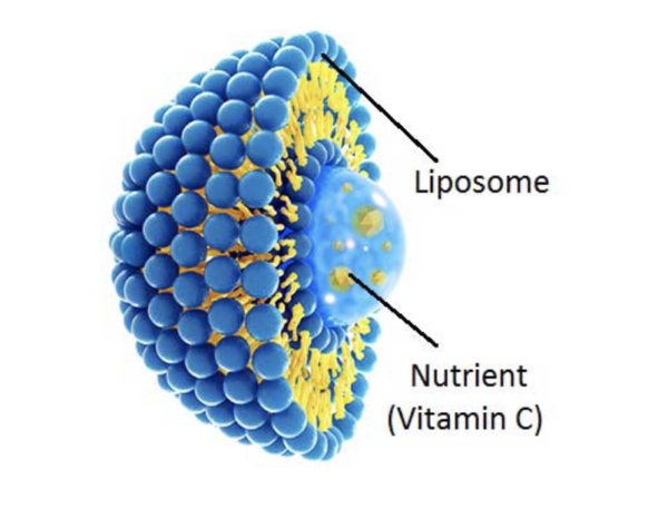 IgTumeric+ and Vitamin D3 Complex - Subsciption SOLD OUT - Image 9